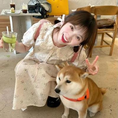 九龙不败